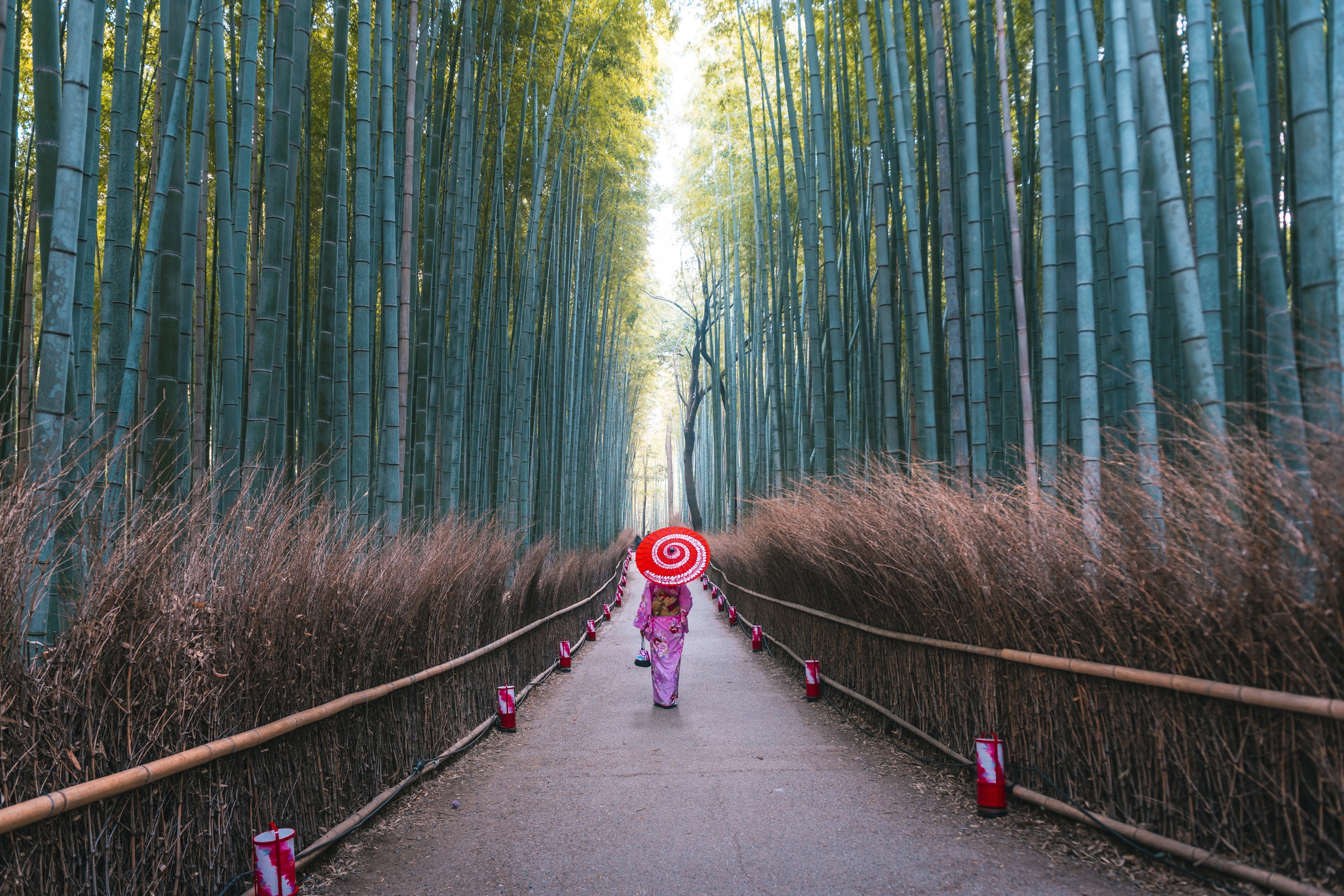 ⭐ Japan_Kyoto_BambooGroveArashiyama_G_InspiredJapanAPRSoloSGJourney-1