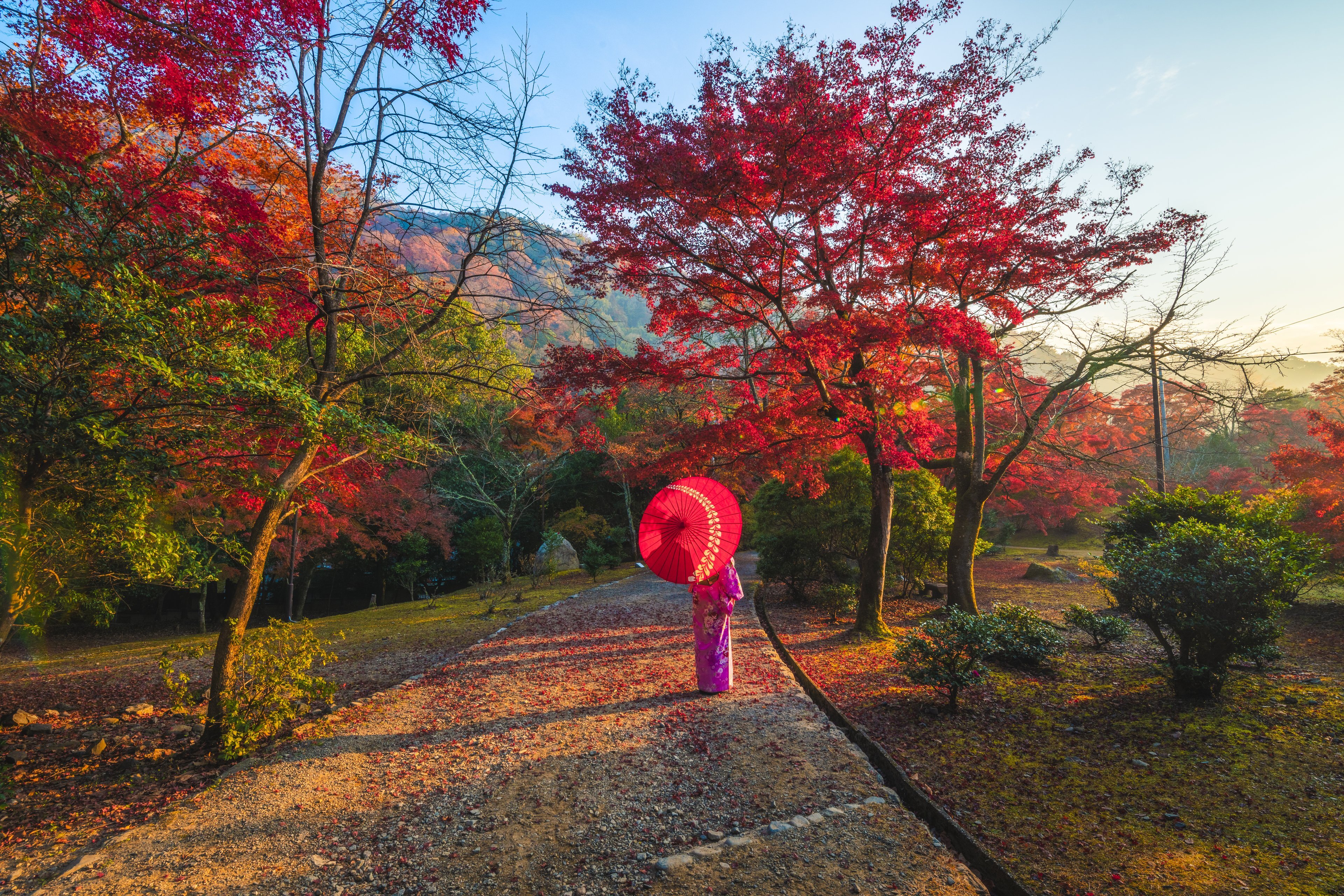 ⭐ Japan_Kyoto_WomanInArashiyamaAutumn_AutumnColoursOfJapan