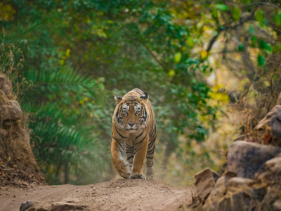 10 Day Indias Golden Triangle Premium Small Group Tour (400 x 300)