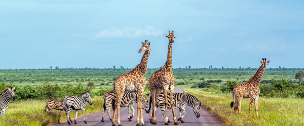 Africa-Nov-13-2025-01-14-04-4153-AM