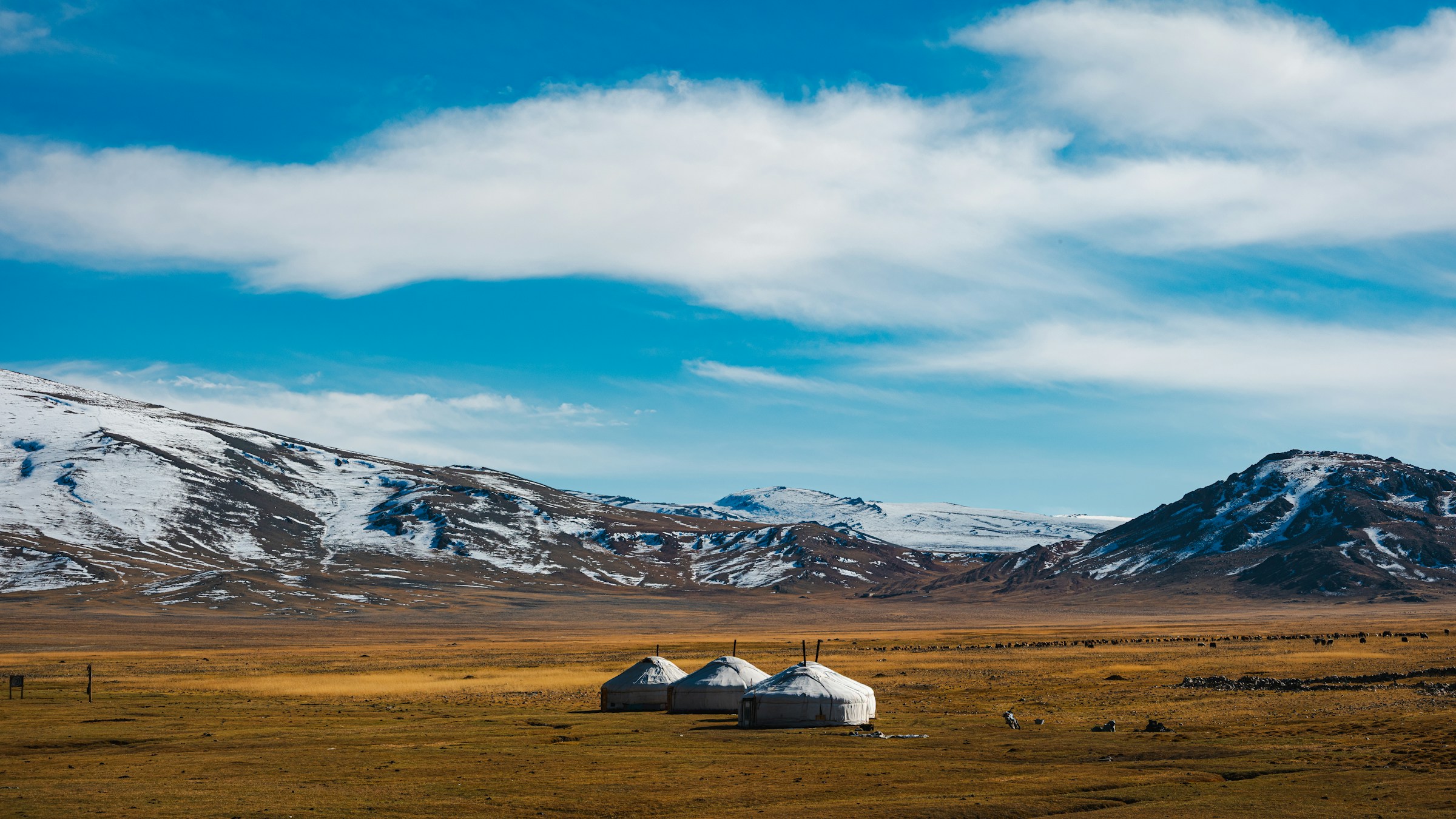 Mongolia_AltaiMountains_FieldAndYurts_U