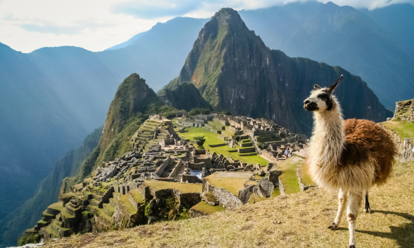 SOUTH AMERICA EVENT INVITE (600x360)
