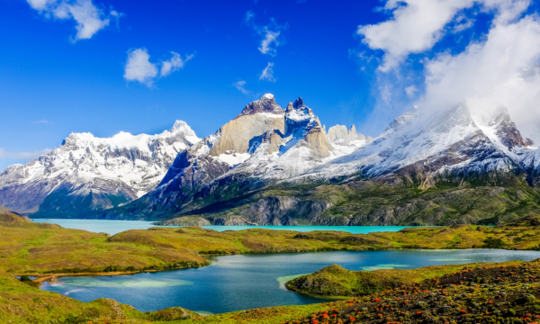 South America Webinar Last Chance (600x360)