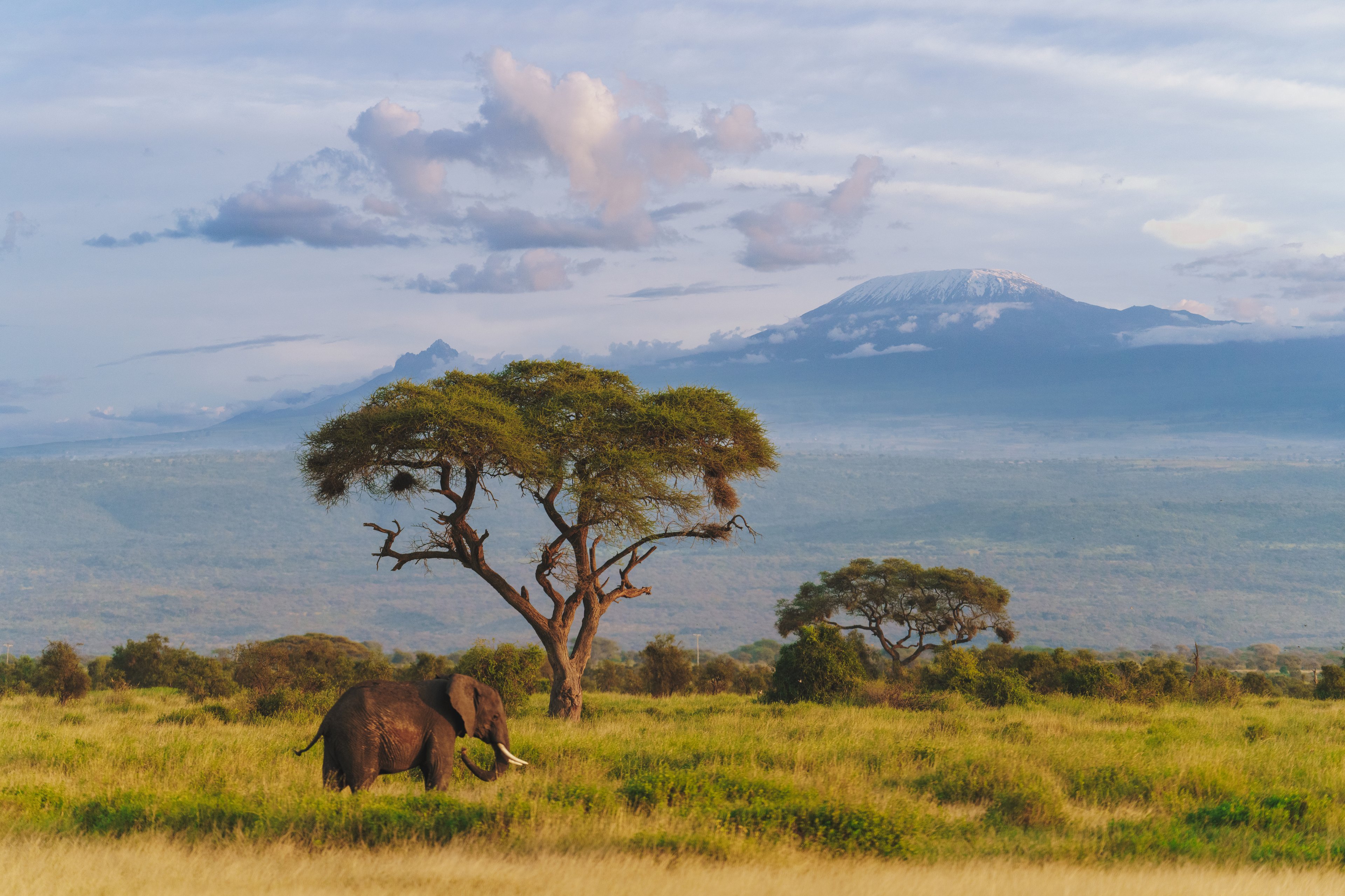 Join Inspiring Vacations for a full day of Africa presentations - happening every hour!