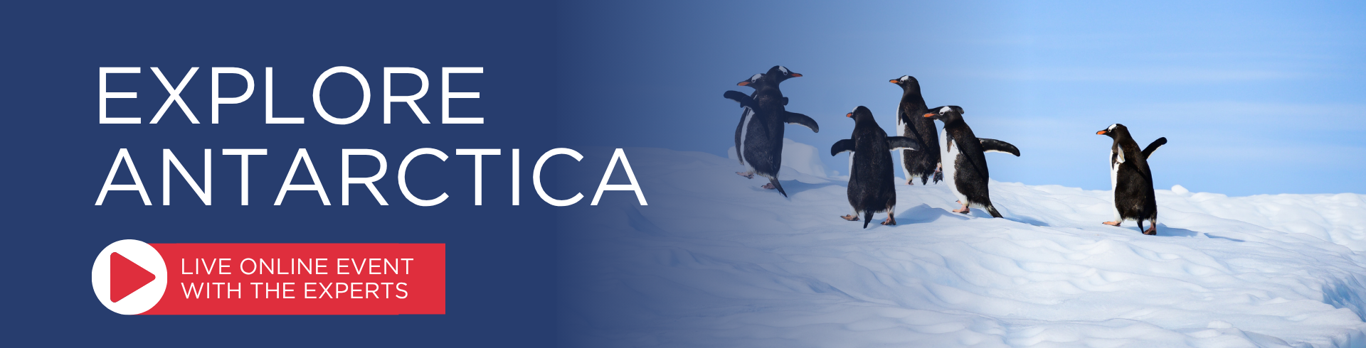 Email banner
