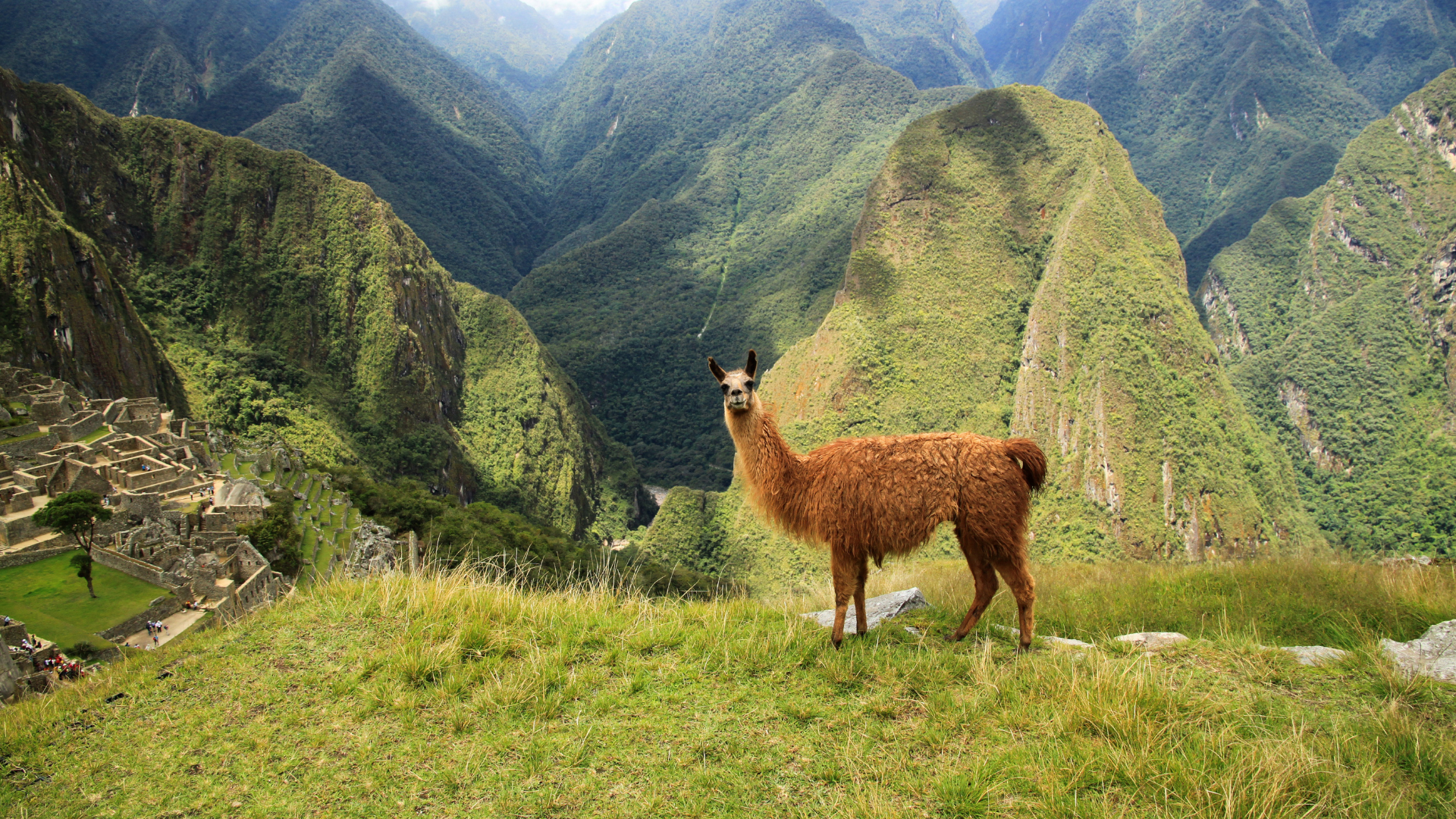 Explore the wonders of South America live with the travel experts! Discover iconic destinations, expert travel tips and inspiring experiences to help plan your next unforgettable adventure. 