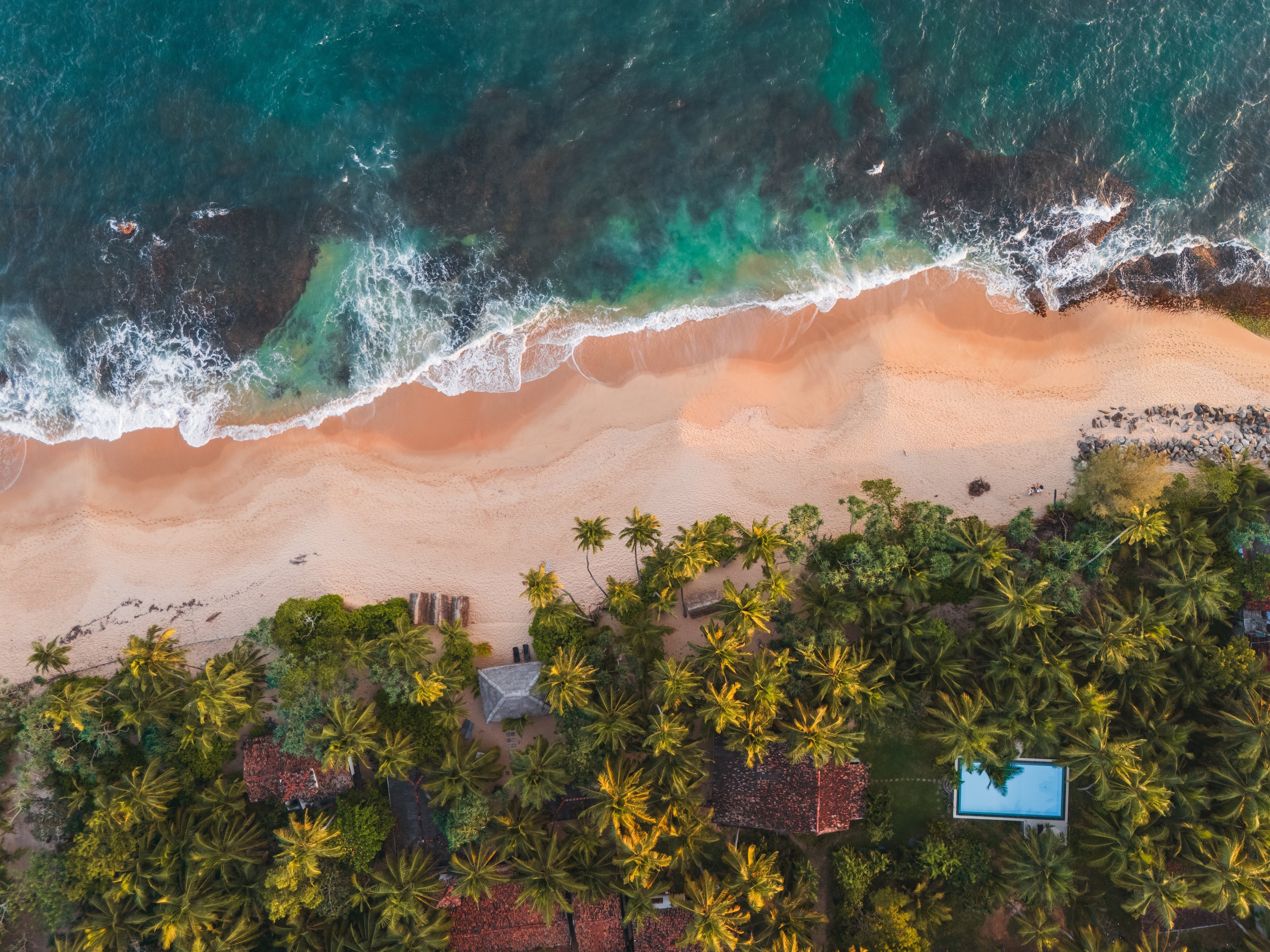 Join us for our Sri Lanka, India & Nepal Online Showcase and discover unforgettable journeys through vibrant cultures, iconic landmarks, breathtaking landscapes, and unique travel experiences across South Asia.