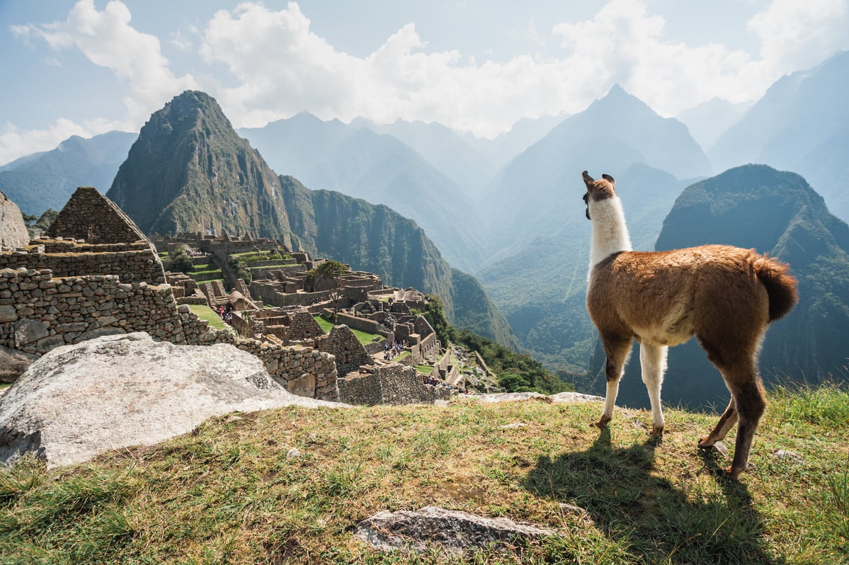 Spend the day exploring North, South and Central America with a series of live online presentations from the destination experts.