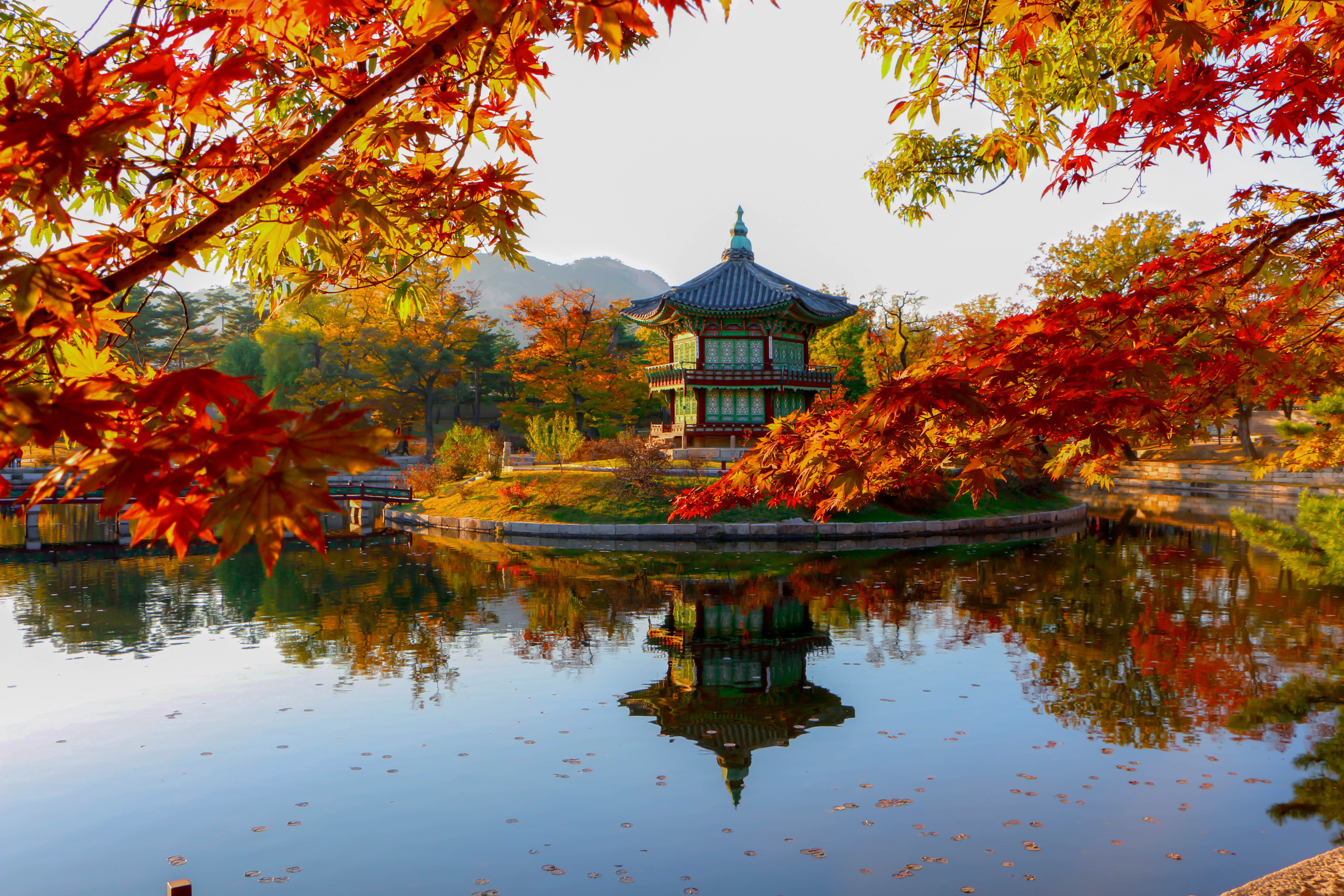 Tune in online to discover South Korea - where ancient culture meets modern wonders. From Seoul's electric energy to Jeju's volcanic coastlines, South Korea is closer, and more captivating, than you think.
