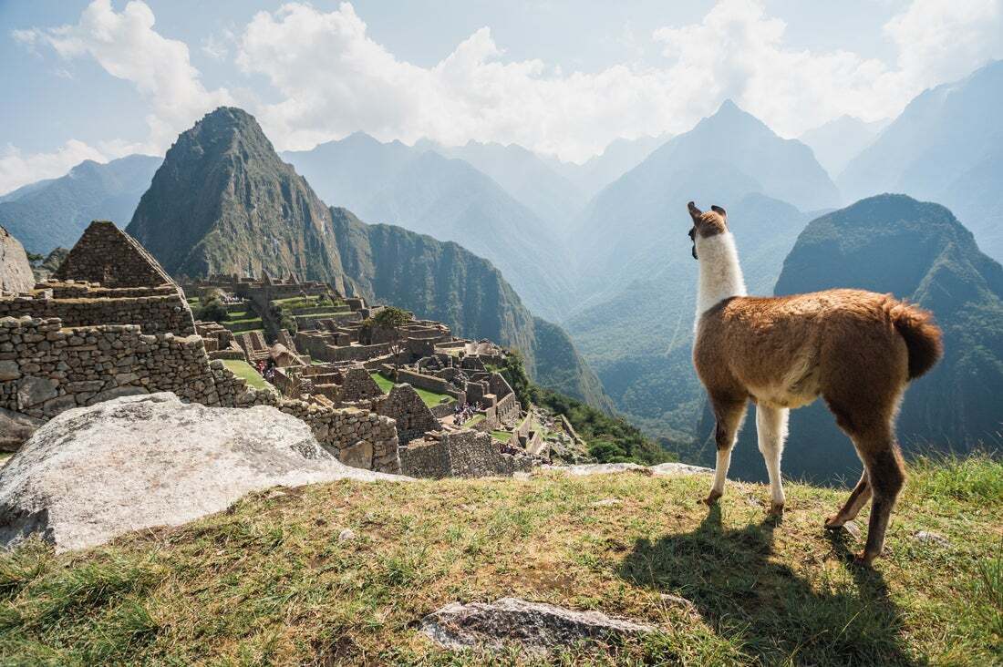 Every Virtual Vault includes a one-time exclusive offer revealed live during the session and unavailable anywhere else. Join us as we uncover the exciting landscapes and bucket list icons of South America.
