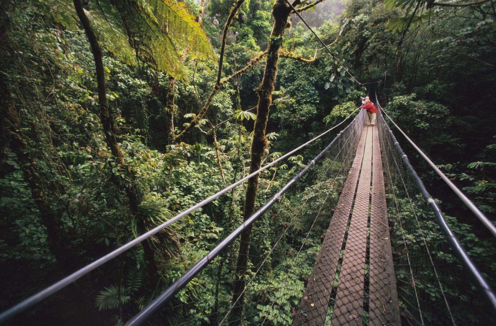 Join us in Central America, where rainforests, volcanoes, Mayan ruins and two coastlines sit within one compact region. We’ll explore Costa Rica, Guatemala, Belize and beyond, and show you how to put it all together.