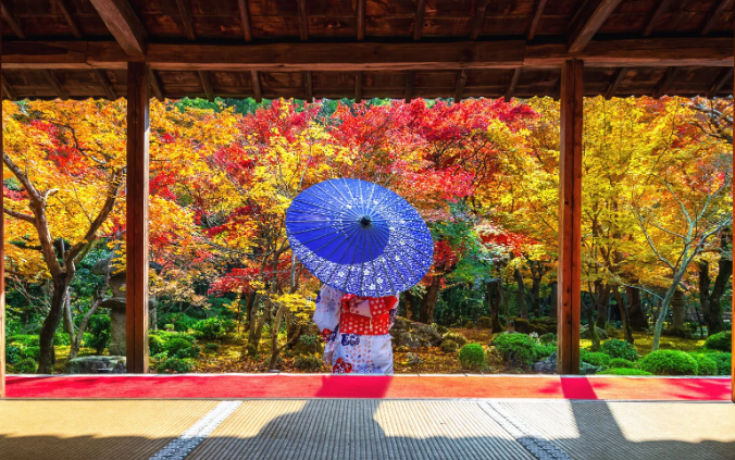 Japanese autumn foliage with umbrela