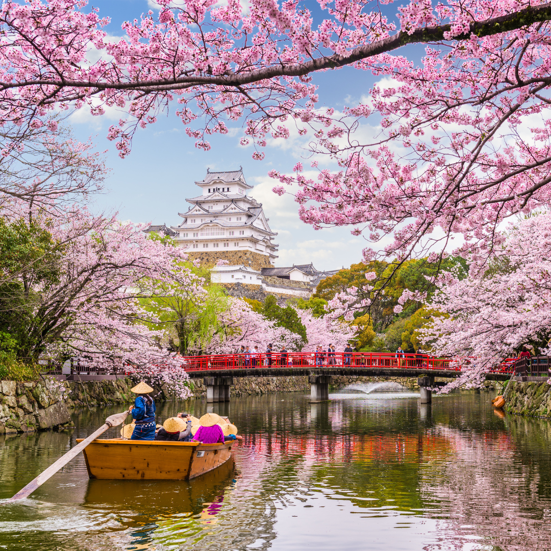 Japan Product Posts (1)-1